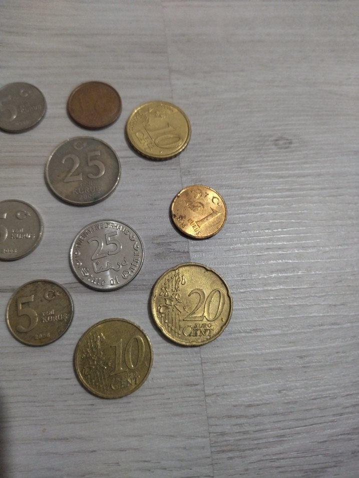 Farklı Türk Lira Madeni Paralar - Görsel 3