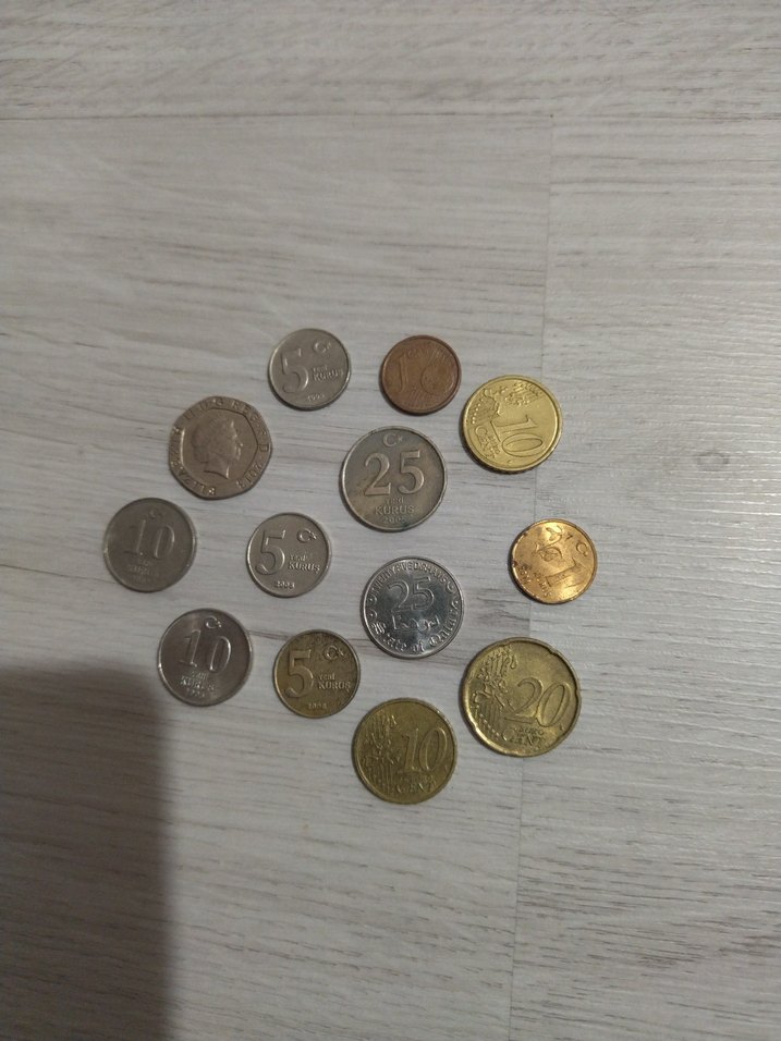 Farklı Türk Lira Madeni Paralar - Görsel 4