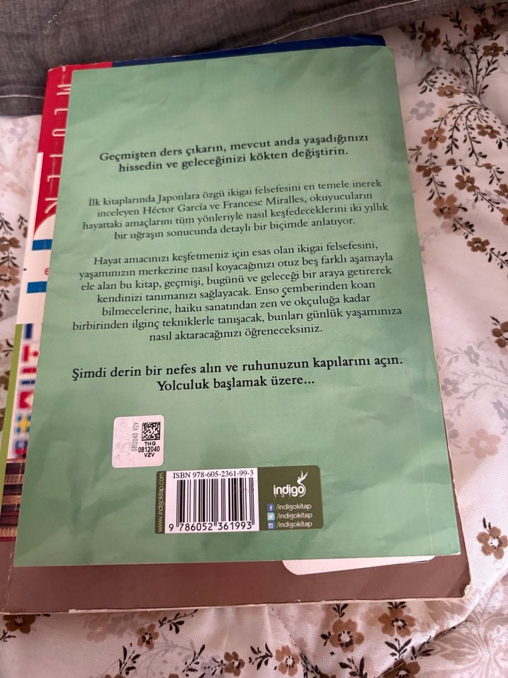 Ikigai Uygulama Rehberi - Japon Mutluluk Sırrı - Görsel 2