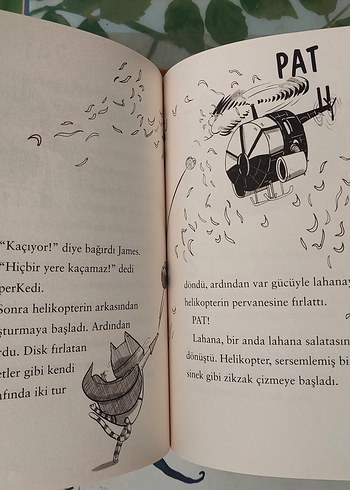 kitap: SüperKedi: Kızarmış Patates Hırsızına Karşı