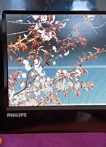  Beden Renk Philips dijital fotoğraf çerçevesi