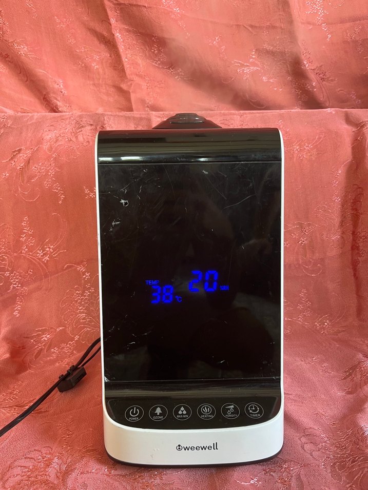 weewell WHC 752 buhar makinesi - Görsel 5