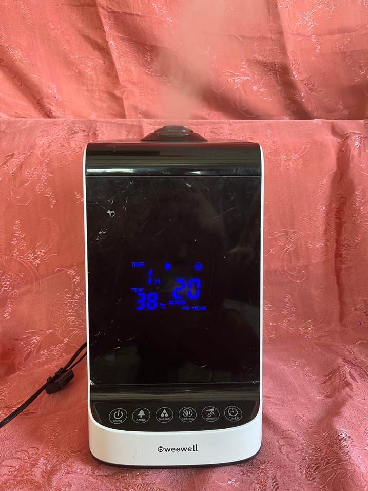 weewell WHC 752 buhar makinesi - Görsel 3