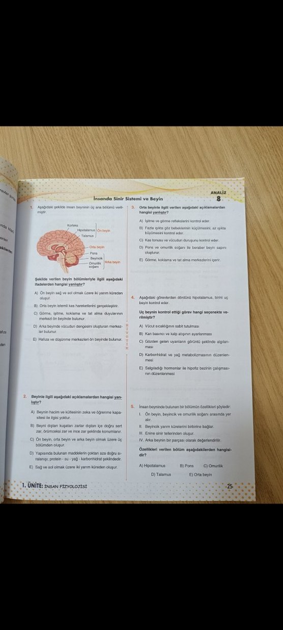 11. Sınıf Biyoloji Soru Bankası Video Çözümlü - Görsel 3