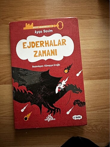 Ayşe Sevim-Ejderhalar Zamanı