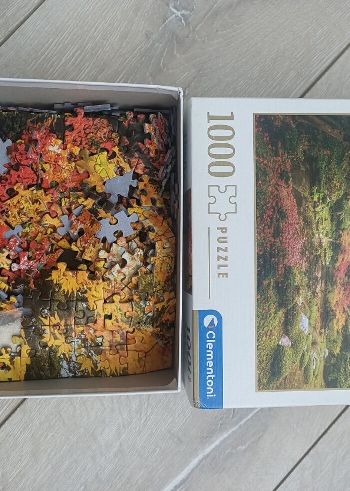 1000 parça puzzle - Görsel 2