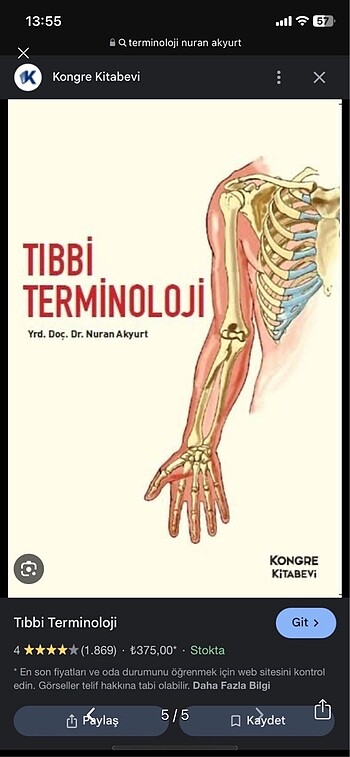 Terminoloji