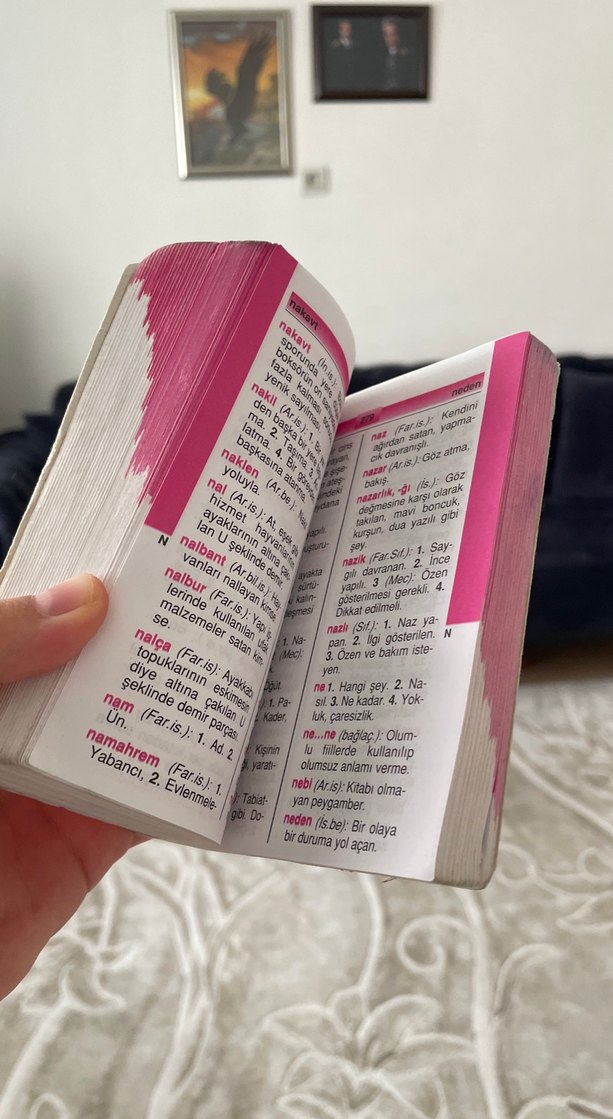 İlköğretim Renkli Türkçe Sözlük - Görsel 2