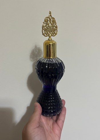 Karagül kolonyası - Görsel 2