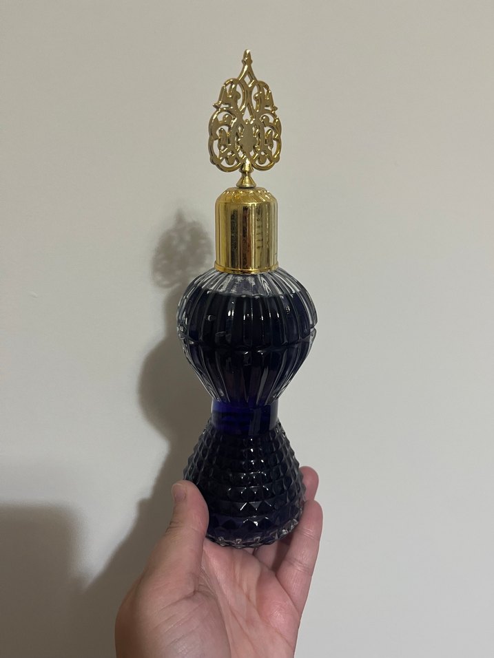 Karagül kolonyası - Görsel 2