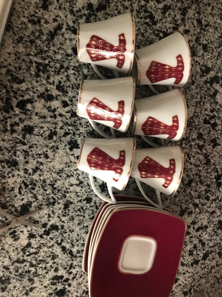 Bordo Desenli Porselen 6 lı Fincan takımı - Görsel 4