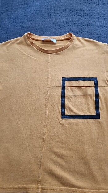 LC Waikiki Tşört
