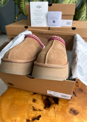 38 Beden camel Renk UGG CHESNUT TAZZ 36-37-38-39-40 36-37-38-39-40 faturası