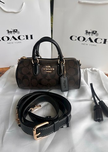 Coach wolf grey