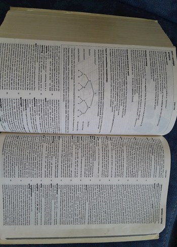 Cambridge International İngilizce Sözlük - Görsel 4