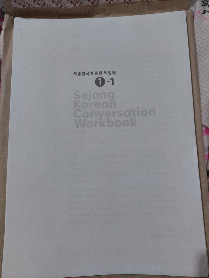 Sejong Korece - Görsel 3