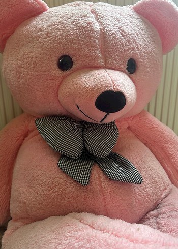 Pembe Peluş Oyuncak Ayı 1.70