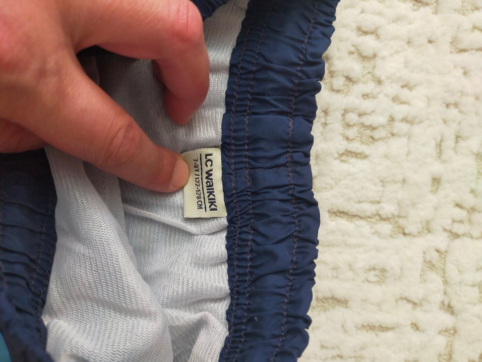 Çizgili Renkli Erkek Şort - Görsel 2