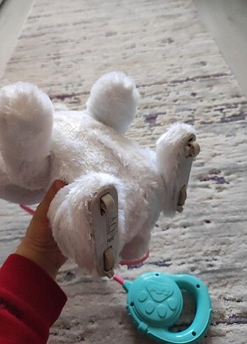  Beden Fur real dans eden köpek 