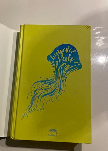 Hayalet Kalp - Ali Benjamin - Görsel 2