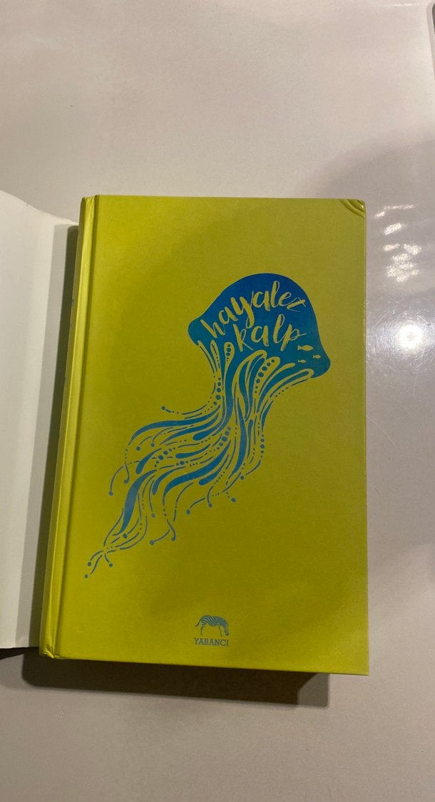 Hayalet Kalp - Ali Benjamin - Görsel 2