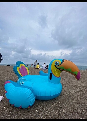 Deniz yatağı flamingo tukan kuşu