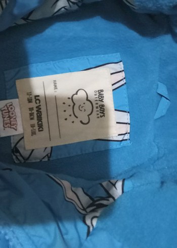 Kapüşonlu, Baskılı Erkek Çocuk Mont - Görsel 2