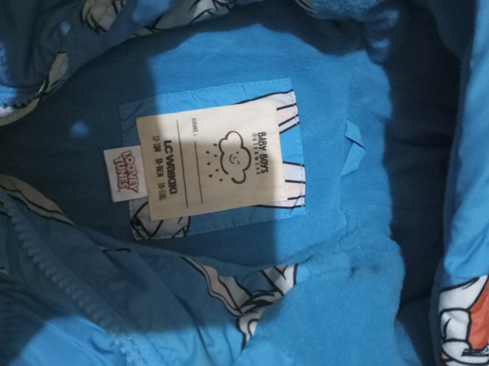 Kapüşonlu, Baskılı Erkek Çocuk Mont - Görsel 2