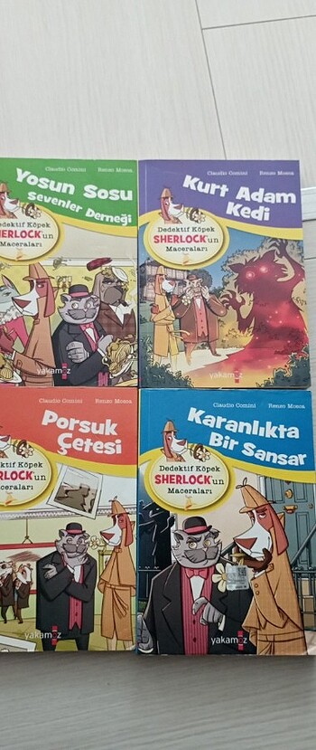 Macera kitapları