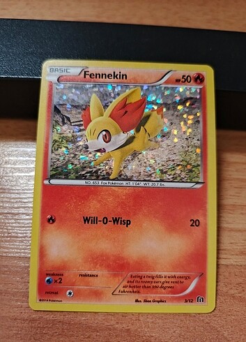 Pokemon kartları 