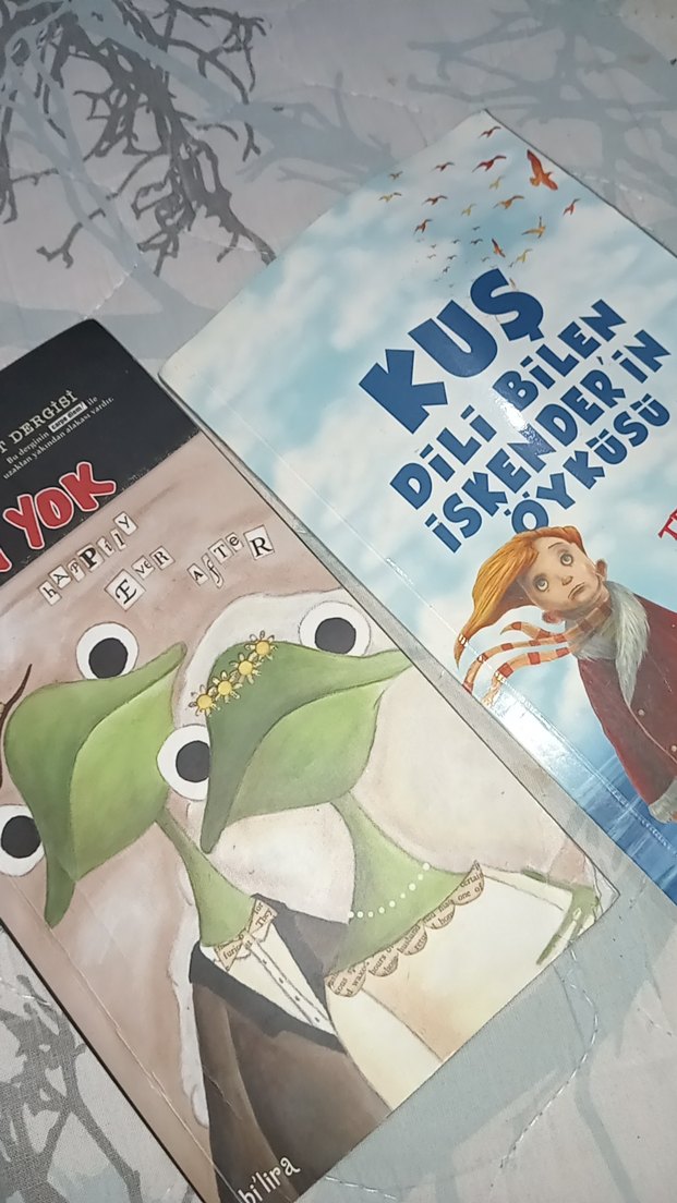 Kuş Dili Bilen İskender'in Öyküsü & Adı Yok Kitapları - Görsel 2