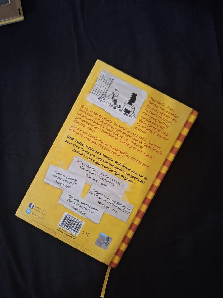 Saftirik Greg'in Günlüğü - İşte Şimdi Yandık! - Görsel 2