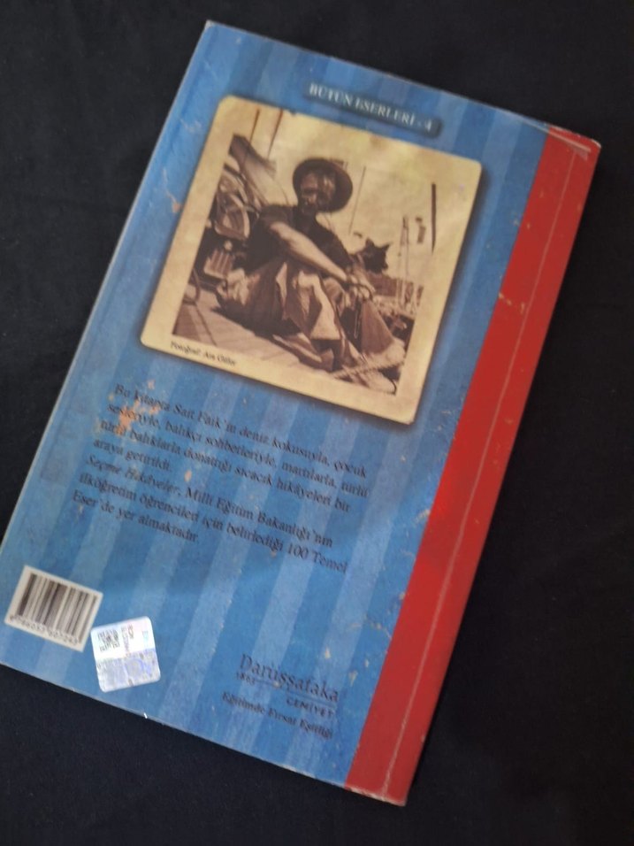 Sait Faik Abasıyanık - Seçme Hikayeler - Görsel 2