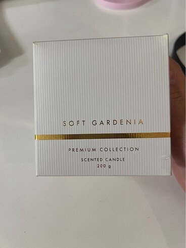 Soft Gardenia Mum