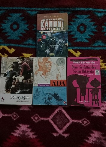  Beden Renk 4 kitap