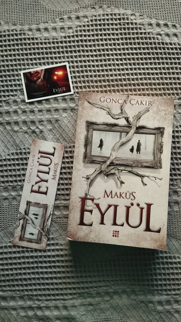 İki Kalın Roman Kitabı - Görsel 2