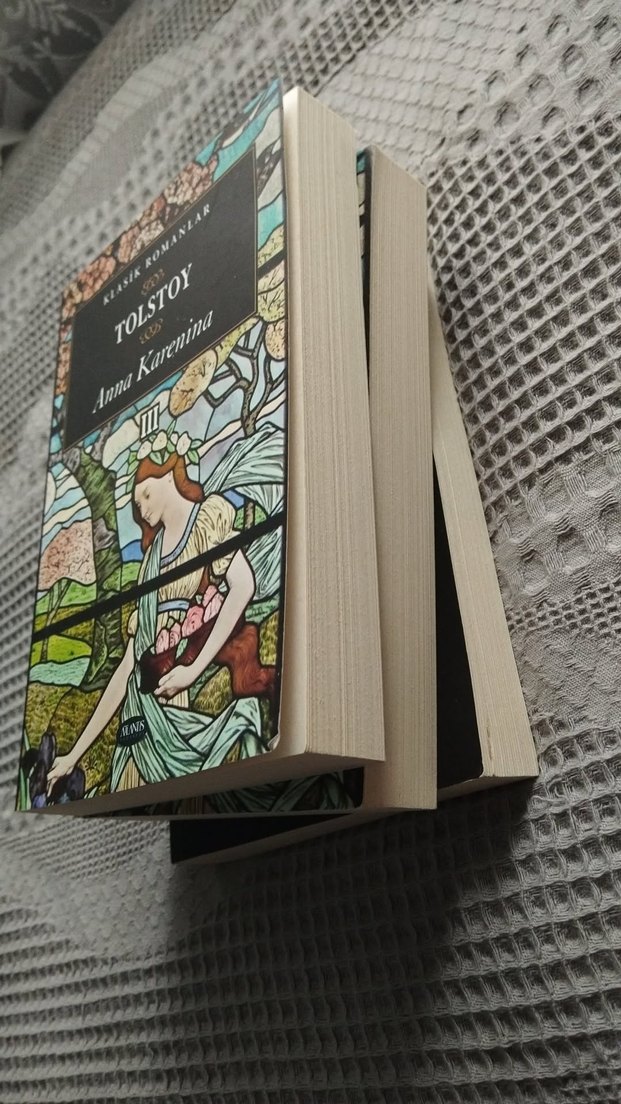Tolstoy - Anna Karenina 3 Cilt Klasik Roman - Görsel 4