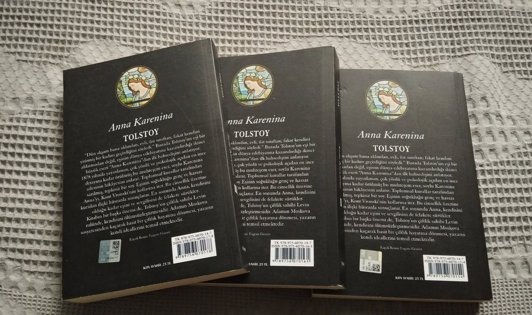 Tolstoy - Anna Karenina 3 Cilt Klasik Roman - Görsel 2