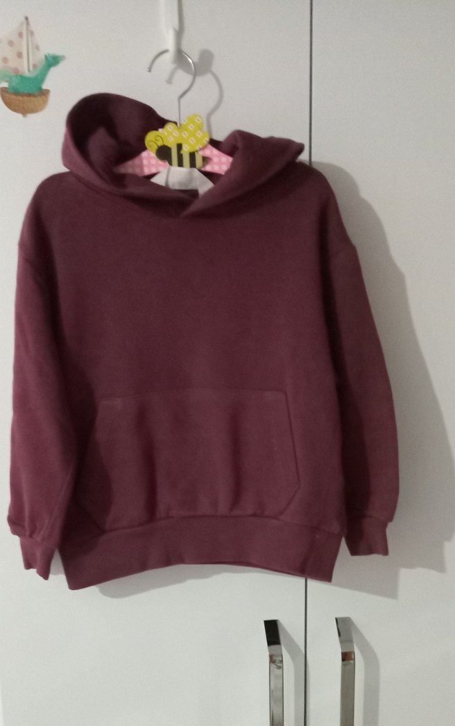 Erkek çocuk Kapüşonlu Sweatshirt, 3 ü birlikte - Görsel 4