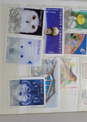 Pul Seti - Görsel 6