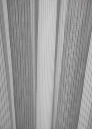 Birillante beyaz Şerit Desen Parıltılı tül - Görsel 4