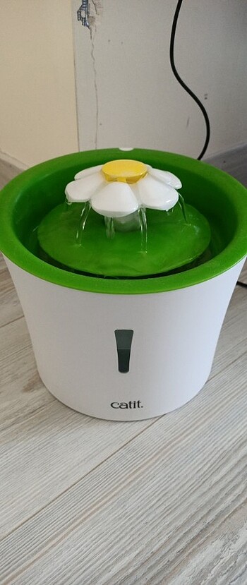 Cat Flower