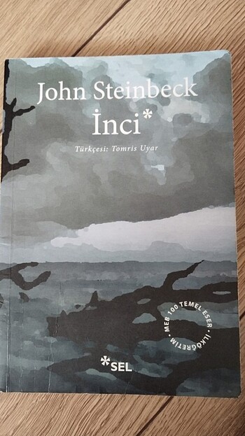 Temiz kitap 