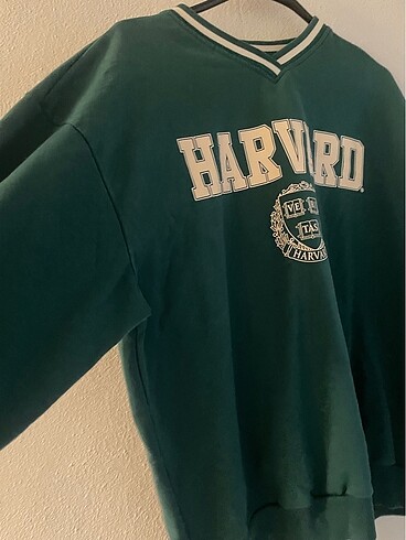 LC Waikiki sweatshirt