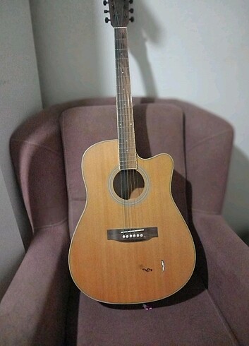 Akutik gitar