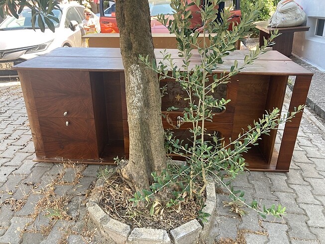 3 adet ahşap vitrin