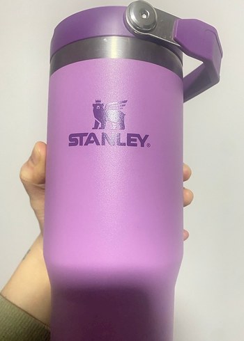 Pastel Mor Stanley Termos Matara - Görsel 4