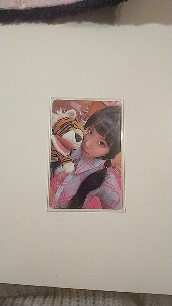 Tiger chaeyoung 