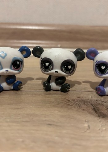 Beyaz ve Gri Dürbün - Görsel 3