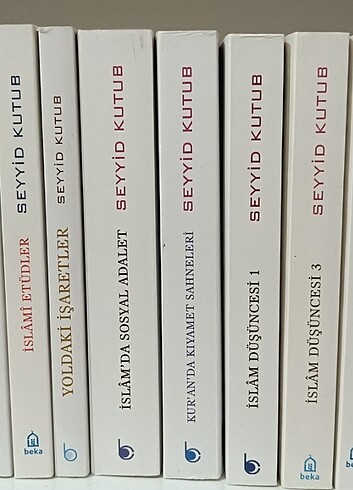 Beden Seyyid kutup külliyatı 16 kitap